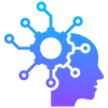 Digital Marketing Strategy & Execution